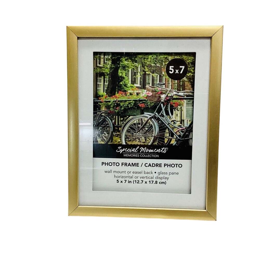 Gold Metal Padded Picture Frame